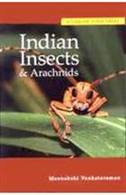 A Concise Field Guide to Indian Insects and Arachnids