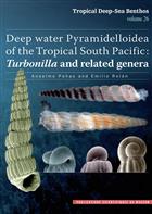 Deep water Pyramidelloidea of the Tropical South Pacific: Turbonilla and related genera