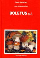 Boletus s.l.  Fungi Europaei 2