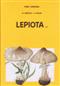 Lepiota s.l.  Fungi Europaei 4