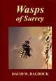 Wasps of Surrey