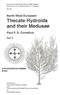 North-West European Thecate Hydroids and their Medusae. Pt 2: Sertulariidae to Campanulariidae (Synopses of the British Fauna 50-2)