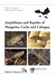 Amphibians and Reptiles of Margarita, Coche and Cubagua