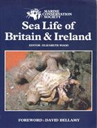 Sea Life of Britain and Ireland