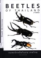 Beetles of Thailand