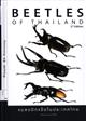 Beetles of Thailand