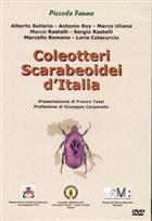 Coleotteri Scarabeoidei d'Italia (DVD)