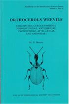 Orthocerous Weevils: Coleoptera Curculionoidea (Nemonychidae, Anthribidae, Urodontidae, Attelabidae and Apionidae) (Handbooks for the Identification of British Insects 5/16)