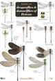 A Guide to the Dragonflies and Damselflies of Britain (Identification Chart)