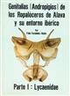 Genitalias (Andropigios) de los Ropaloceros de Alava y su entorno iberico. Parte 1: Lycaenidae