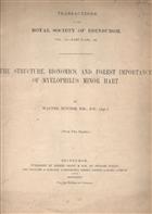 The Structure, Bionomics, and Forest Importance of Myelophilus minor Hart