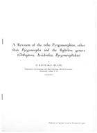 A Revision of tribe Pyrgomorphini, other than Pyrgomorpha and the Flightless Genera (Orthoptera; Acridoidea, Pyrgomorphidae)
