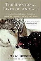 Emotional Lives of Animals A Leading Scientist Expolers Animal Joy, Sorrow, and Empathy - and Why They Matter