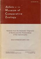 Rodents from the Deseaden Oligocene of Bolivia and the Relationships of the Caviomorpha