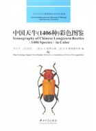 Iconography of Chinese Longicorn Beetles 