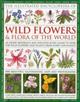 Illustrated Encyclopedia of Wild Flowers & Flora of the World An Expert Reference and Identification Guide to over 1730 Wild Flowers and Plants From Every Continent