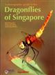 A photographic guide to the Dragonflies of Singapore