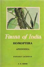 Homoptera: Aphidoidea 2: Lachninae (Fauna of India)