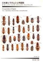 Cucujoidea of Japan. Vol. 1: Sphindidae, Monotomidae, Laemophloeidae