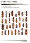 Cucujoidea of Japan. Vol. 1: Sphindidae, Monotomidae, Laemophloeidae