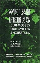 Welsh Ferns, Clubmosses, Quillworts and Horsetails: A descriptive Handbook