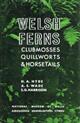 Welsh Ferns, Clubmosses, Quillworts and Horsetails: A descriptive Handbook