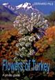 Flowers of Turkey. A photo guide
