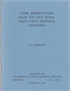 Fossil Bennettitales from the Tico Flora, Santa Cruz Province, Argentina