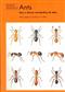 Ants (Naturalists' Handbooks 24)