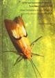 Atlas of Southeast Asian Trichoptera