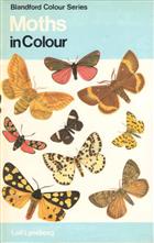Moths in Colour