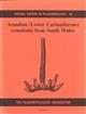 Arundian Conodonts (Lower Carboniferous) from South Wales Special Papers in Palaeontology 46