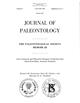 Late Cretaceous and Paleocene Decapod Crustaceans from James Ross Basin, Antartic Peninsula