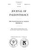 Shape Analysis of Frasnian Species of the Late Devonian Conodont Genus Palmatolepsis