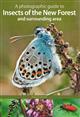 A photographic guide to Insects of the New Forest and surrounding area