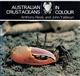 Australian Crustaceans in Colour