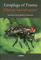 Sarcophaga of France (Diptera: Sarcophaidae)