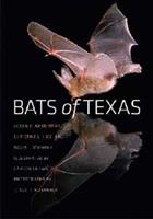 Bats of Texas