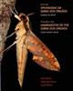 A Guide to the Hawkmoths of the Serra dos Orgaos / Guia dos Sphingidae da Serra dos Orgaos