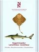 Chordata: Branchostomatidae - Chondrichtyes / Ryggstrangsdjur: Lansettfiskar - broskfiskar