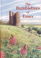 The Bumblebees of Essex