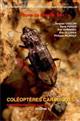 Coléoptères Carabidae de France: compléments et mise à jour. Vol. 1 Faune de France 94