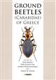 Ground Beetles (Carabidae) of Greece