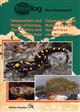 Salamanders and Newts of Europe, North Africa and Western Asia