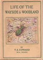 Life of the Wayside and Woodland