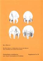 Blowflies (Diptera, Calliphoridae) of Israel and adjacent areas, including a new species from Tunisia