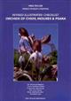 Revised Illustrated Checklist. Orchids of Chios, Inouses & Psara