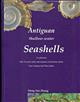 Antiguan Shallow-water Seashells