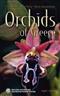 Orchids of Greece