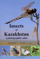 Insects of Kazakhstan: A photographic atlas